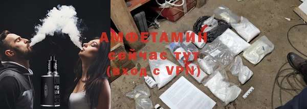молекула духа Богданович