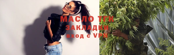 молекула духа Богданович
