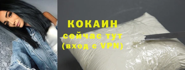 молекула духа Богданович