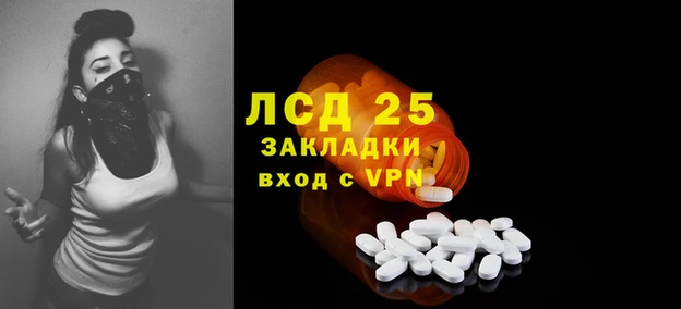 сатива Богородицк