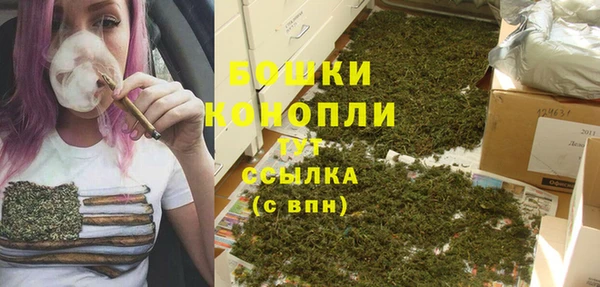 сатива Богородицк