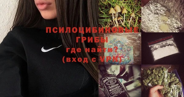 сатива Богородицк