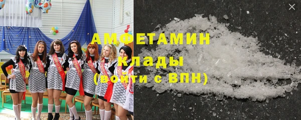 молекула духа Богданович