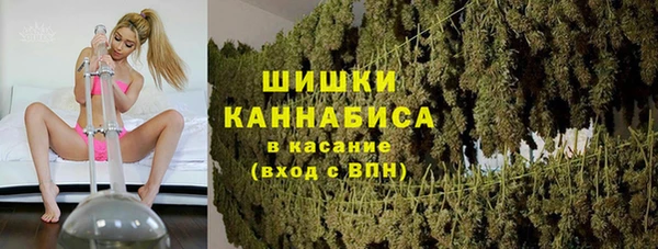 сатива Богородицк