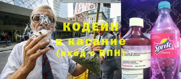 молекула духа Богданович