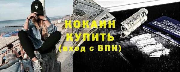 молекула духа Богданович