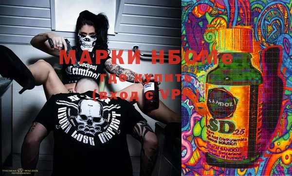 молекула духа Богданович