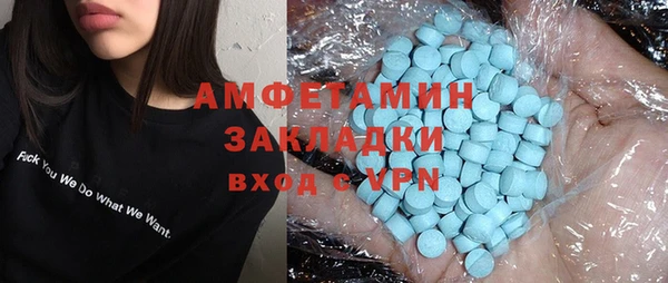 молекула духа Богданович
