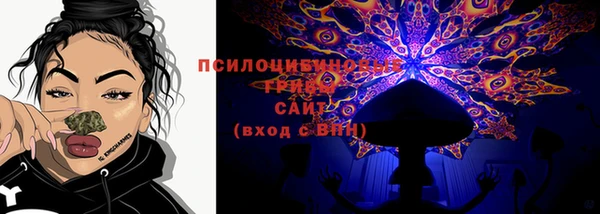 молекула духа Богданович