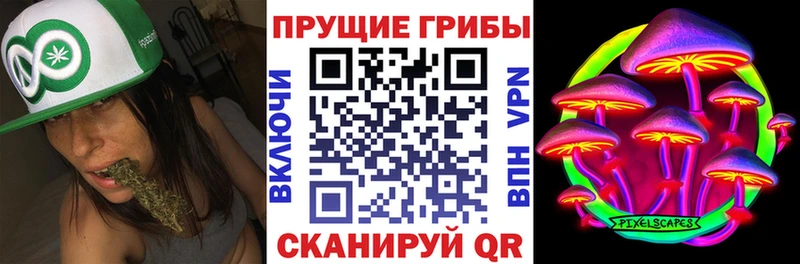 Галлюциногенные грибы MAGIC MUSHROOMS  сколько стоит  Шлиссельбург 